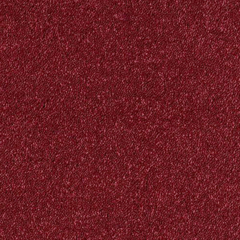 Abingdon Carpets Stainfree Sophisticat Twist Carpet