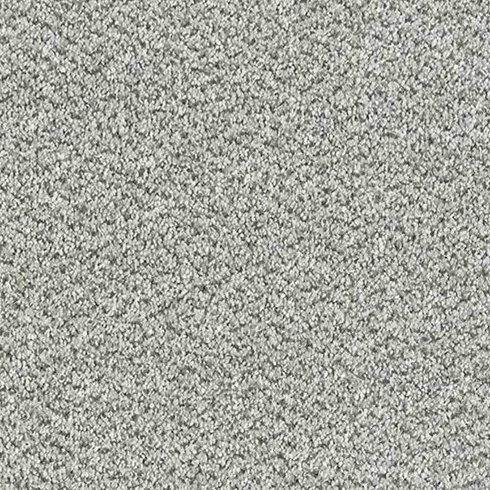 Abingdon Carpets Stainfree Tweed Twist Carpet