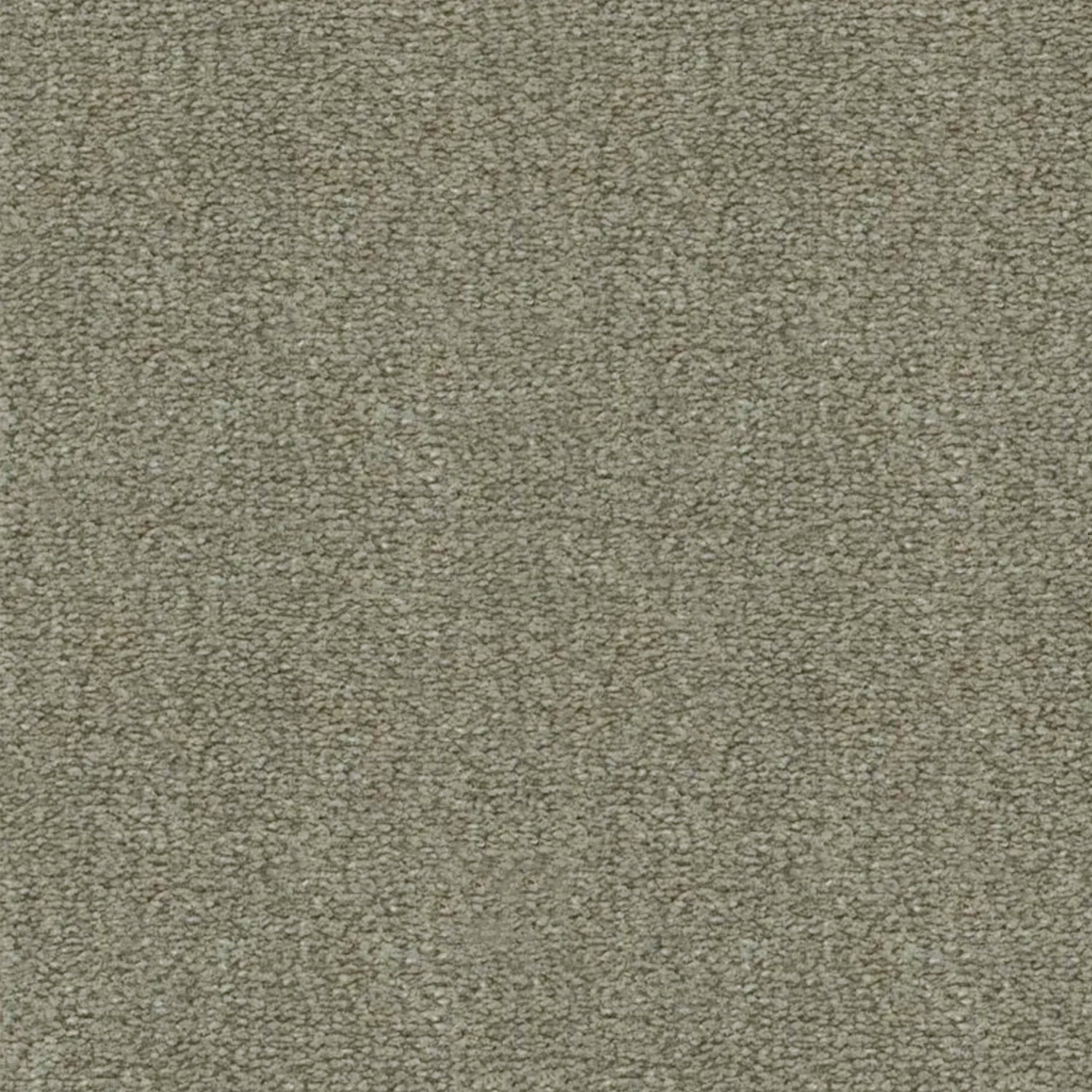 Artisan Carpets Lusso 100% Nylon Velvet Carpet