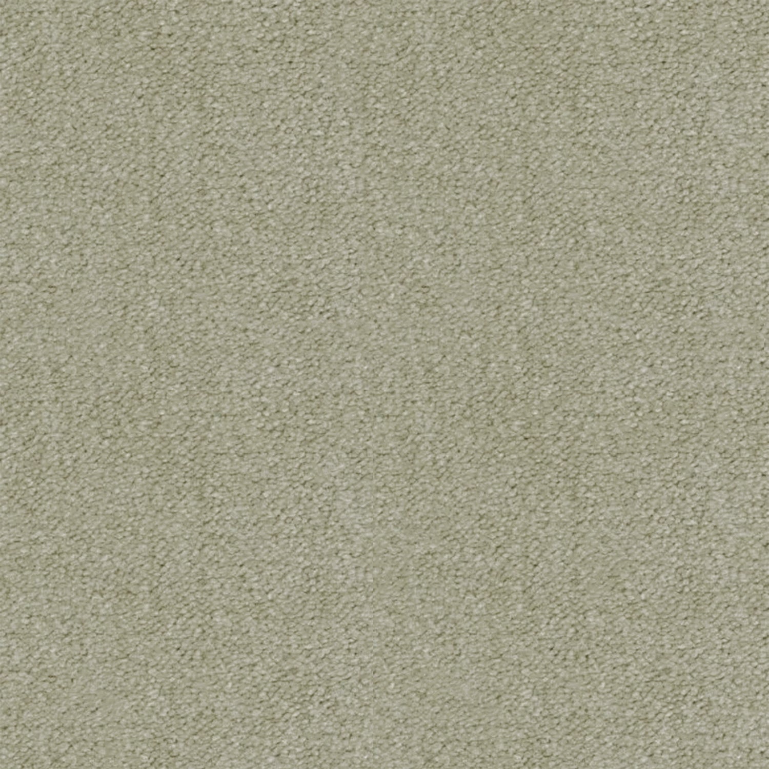 Artisan Carpets Lusso 100% Nylon Velvet Carpet