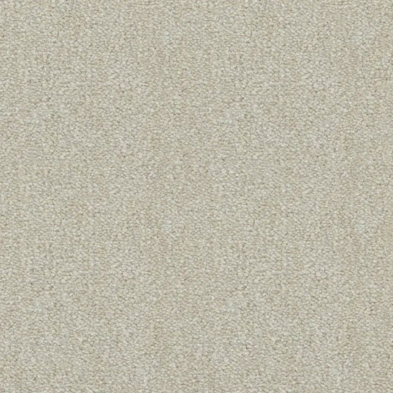 Artisan Carpets Lusso 100% Nylon Velvet Carpet