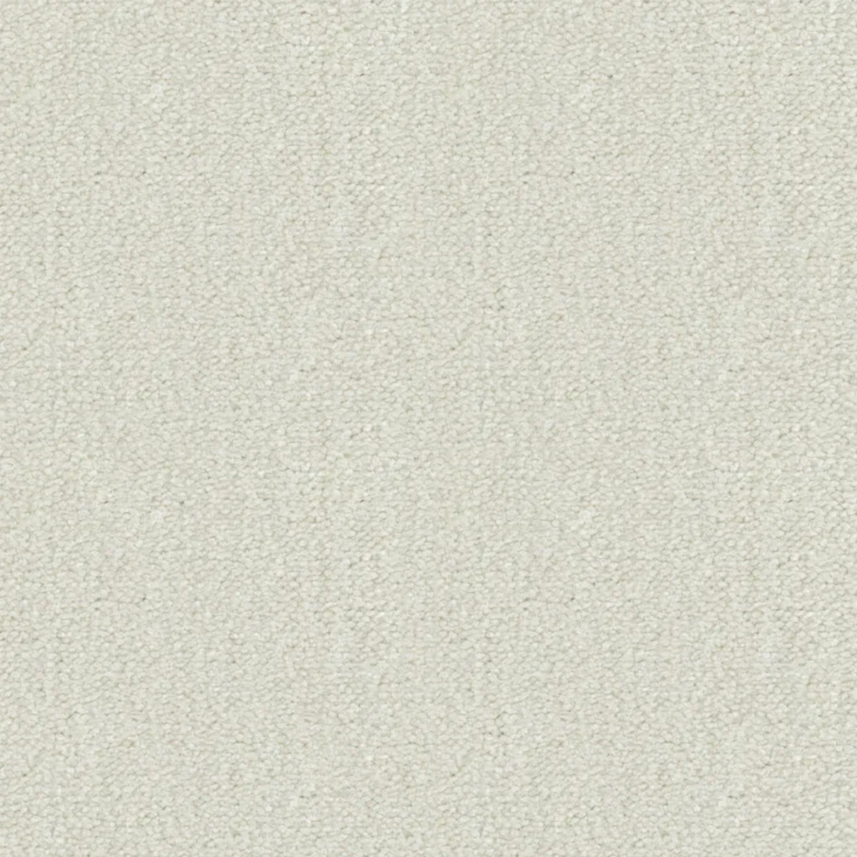 Artisan Carpets Seta 100% Nylon Velvet Carpet