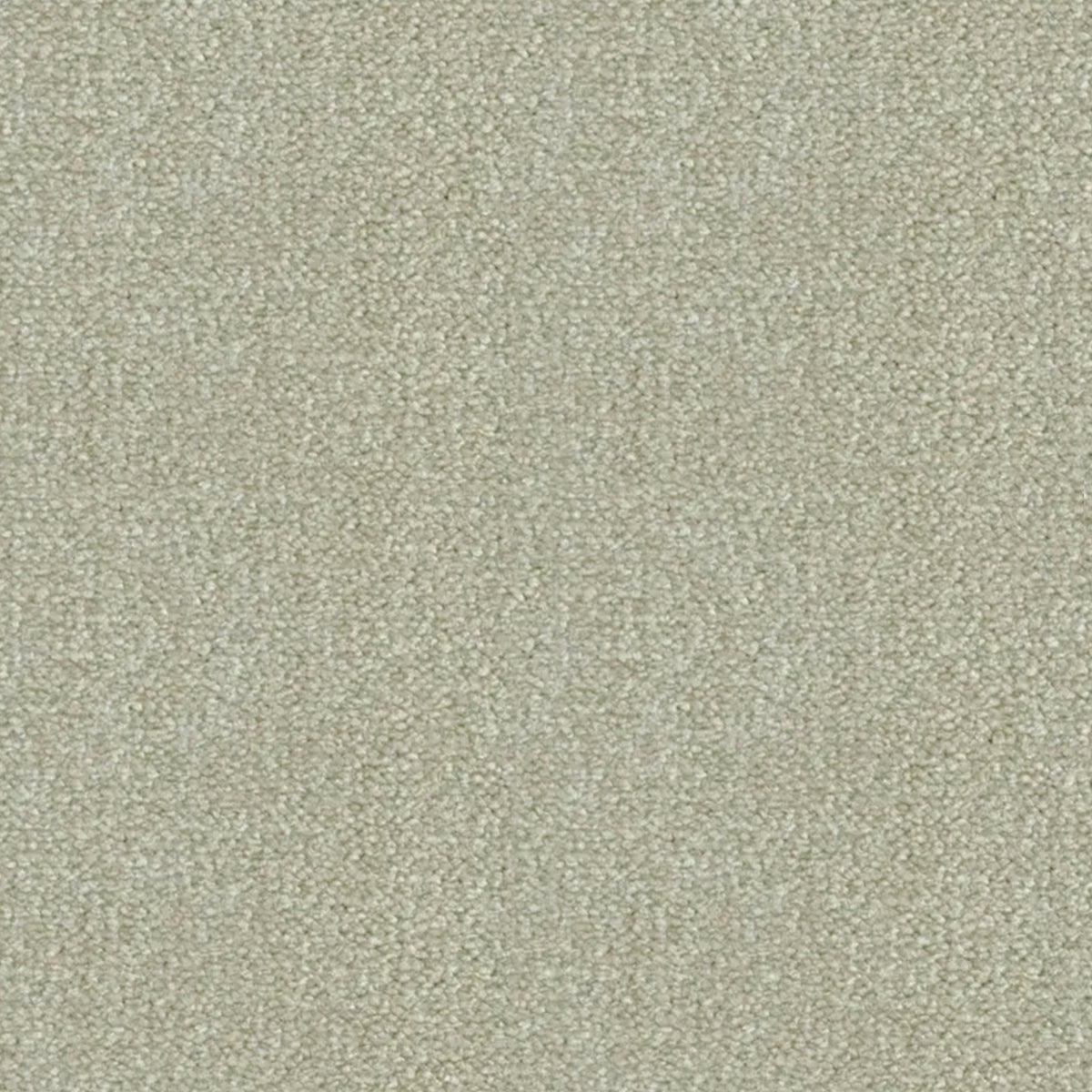 Artisan Carpets Seta 100% Nylon Velvet Carpet