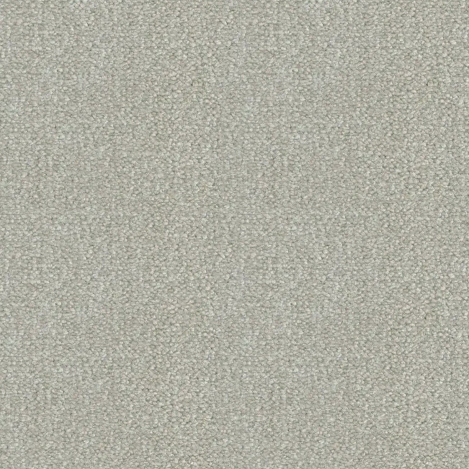 Artisan Carpets Seta 100% Nylon Velvet Carpet