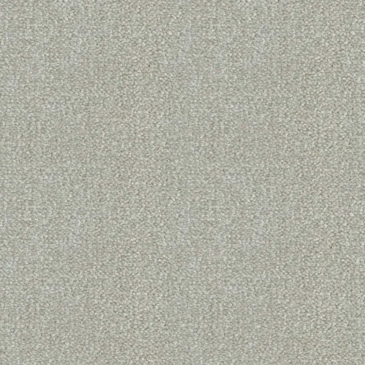 Artisan Carpets Seta 100% Nylon Velvet Carpet