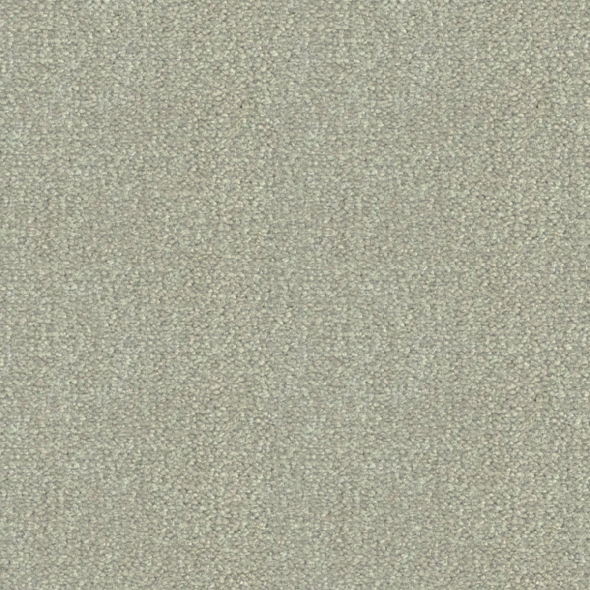 Artisan Carpets Seta 100% Nylon Velvet Carpet