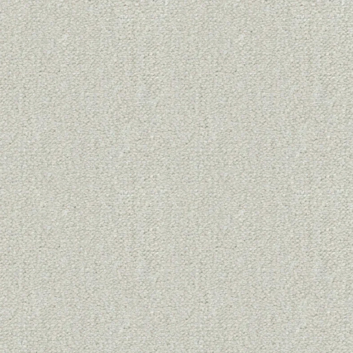 Artisan Carpets Seta 100% Nylon Velvet Carpet