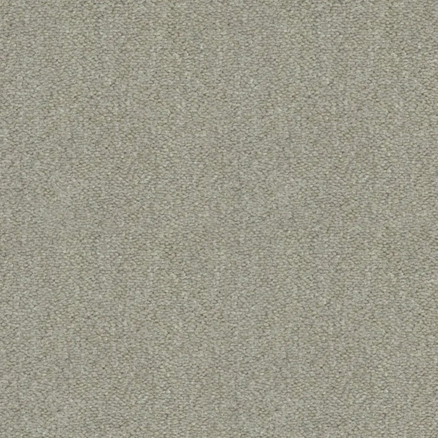 Artisan Carpets Seta 100% Nylon Velvet Carpet