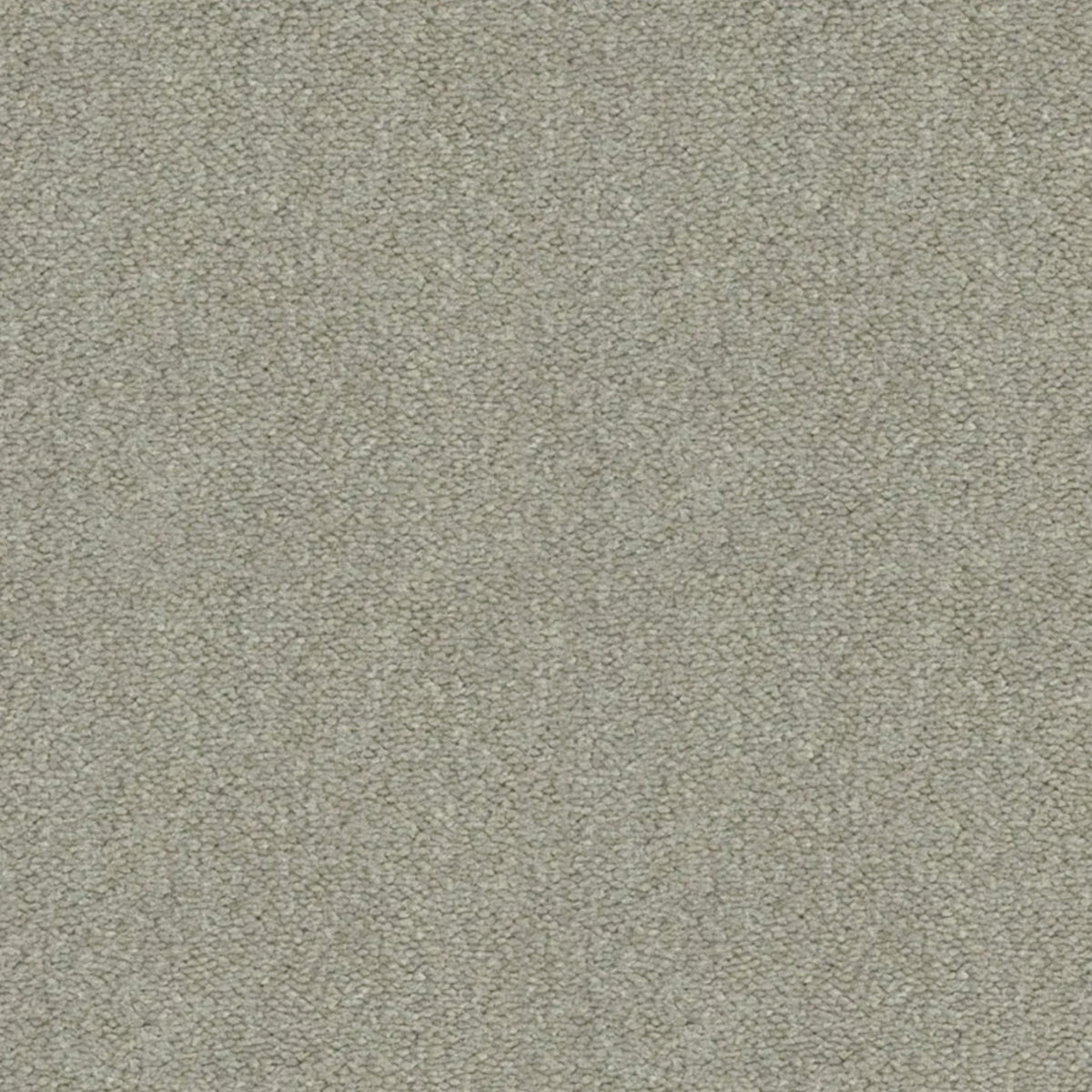 Artisan Carpets Seta 100% Nylon Velvet Carpet