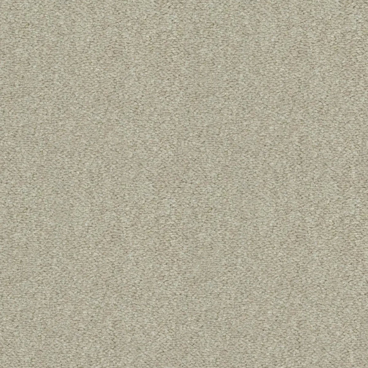 Artisan Carpets Seta 100% Nylon Velvet Carpet