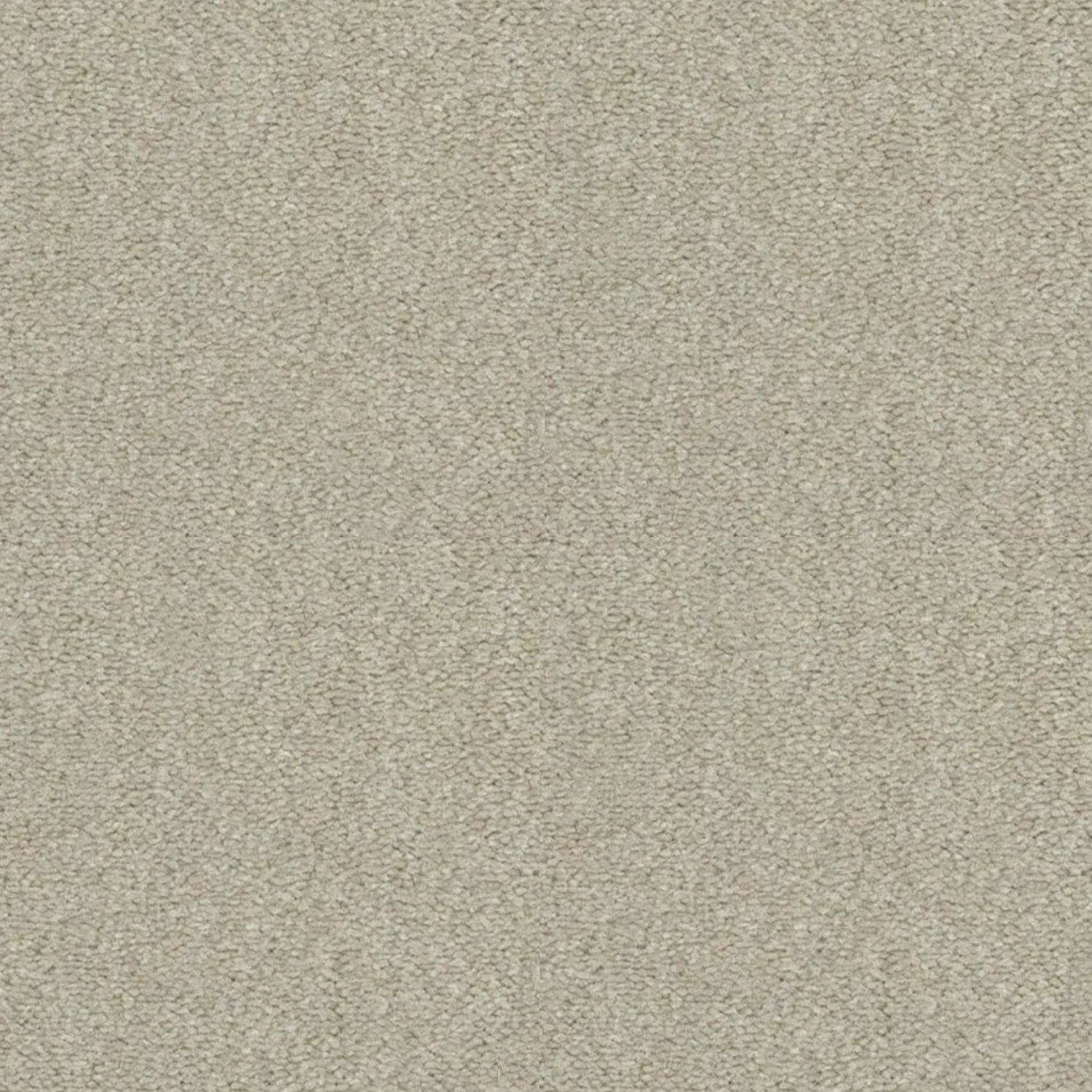 Artisan Carpets Seta 100% Nylon Velvet Carpet
