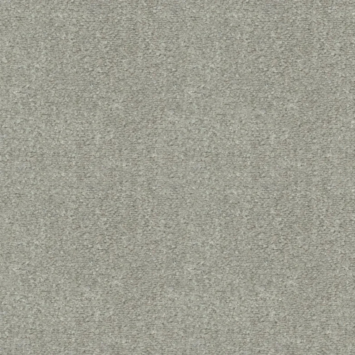 Artisan Carpets Seta 100% Nylon Velvet Carpet