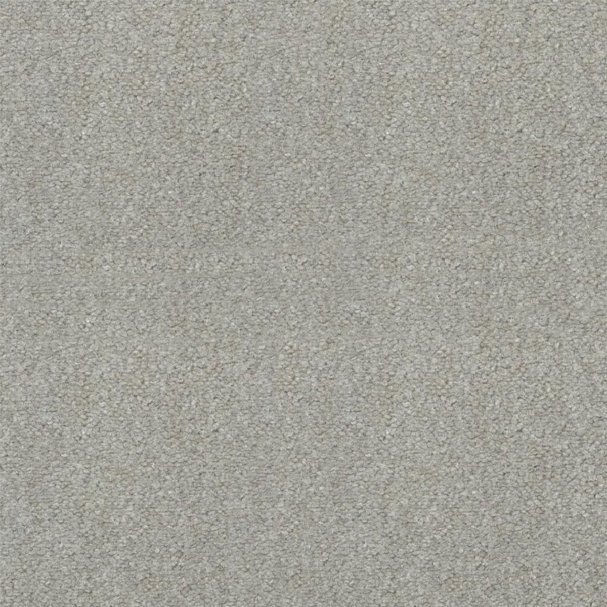 Artisan Carpets Seta 100% Nylon Velvet Carpet