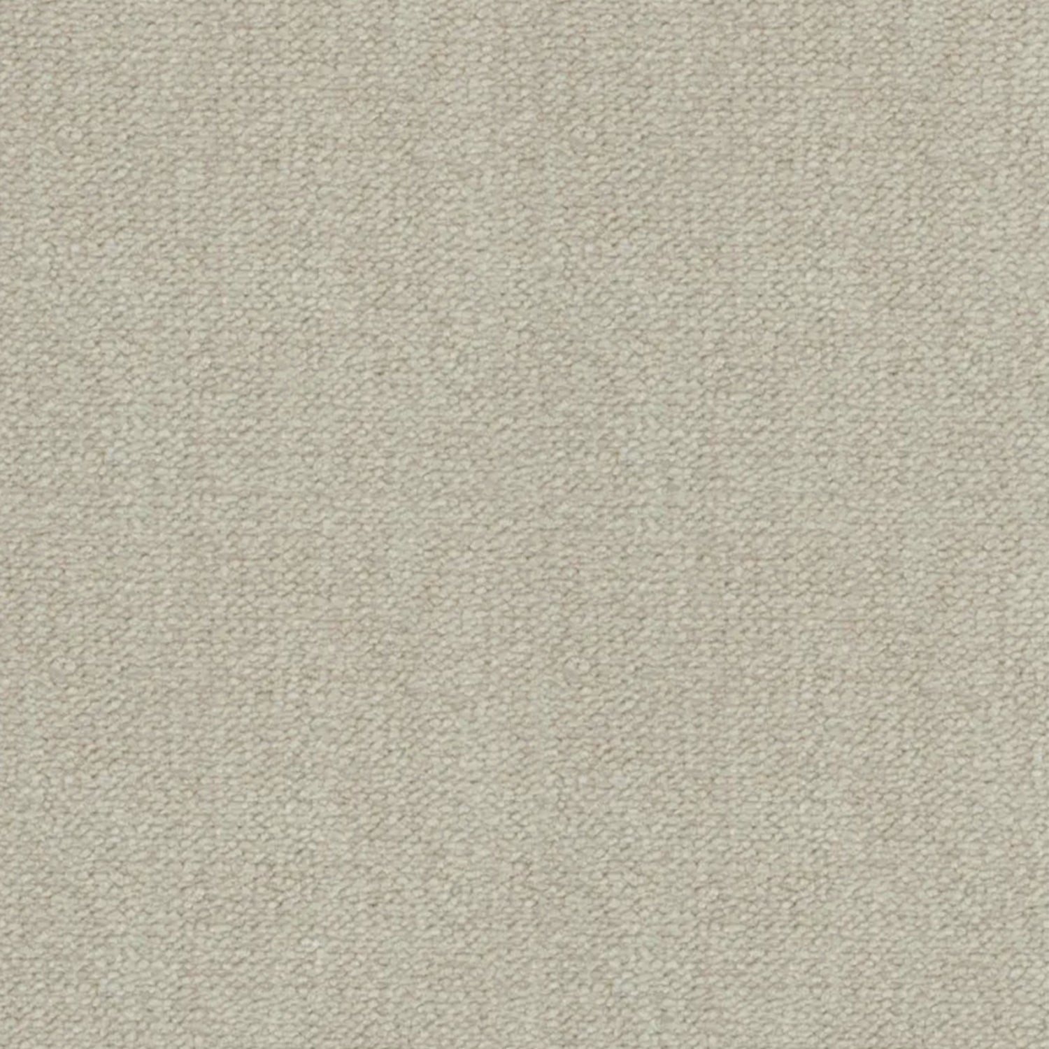 Artisan Carpets Seta 100% Nylon Velvet Carpet