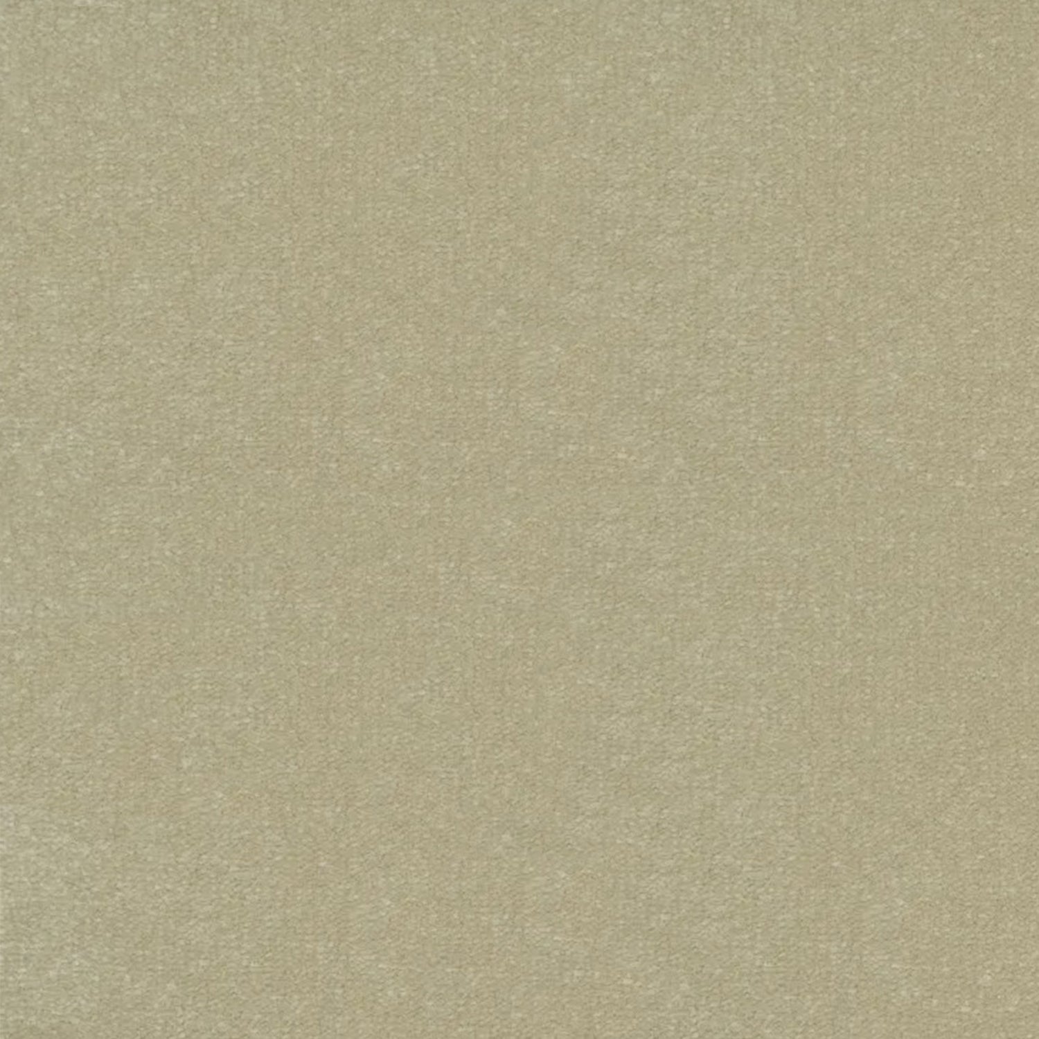 Artisan Carpets Venice 100% Polypropylene Velvet Carpet