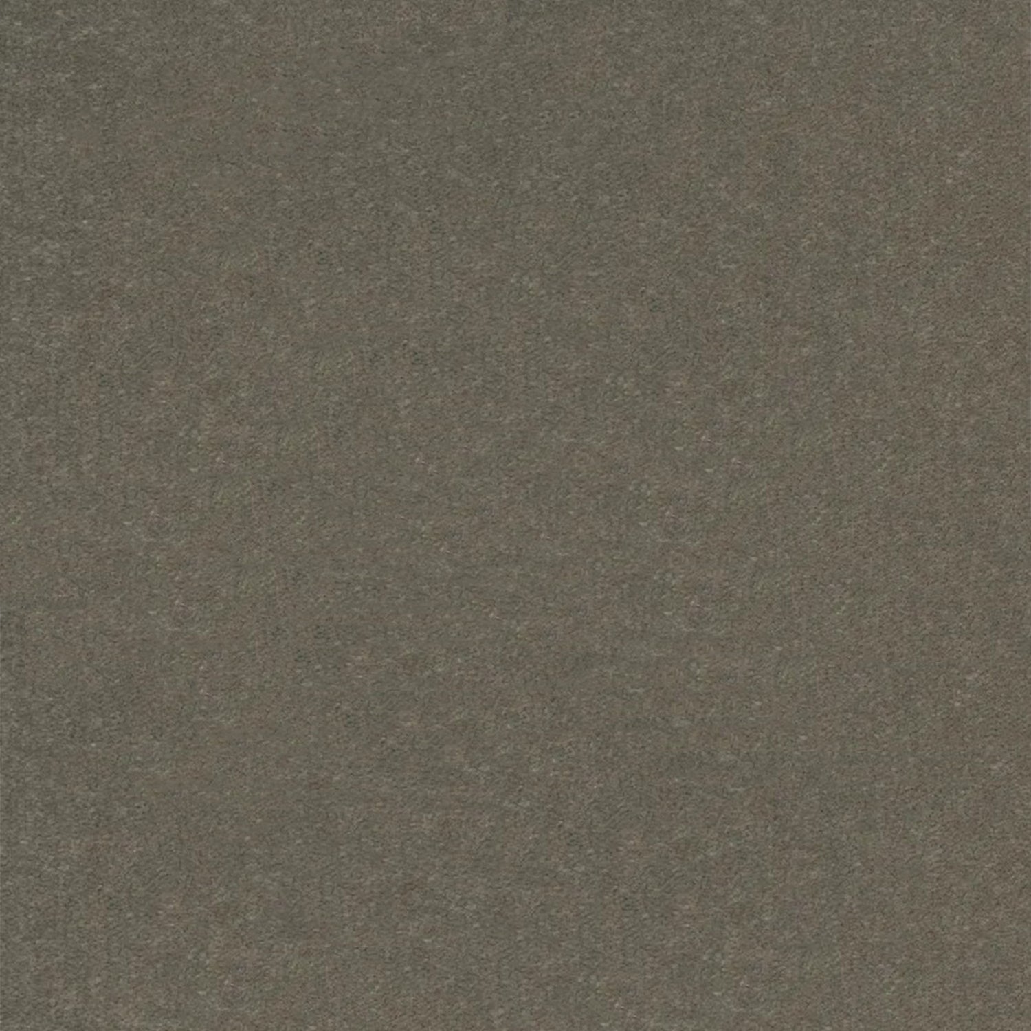 Artisan Carpets Venice 100% Polypropylene Velvet Carpet