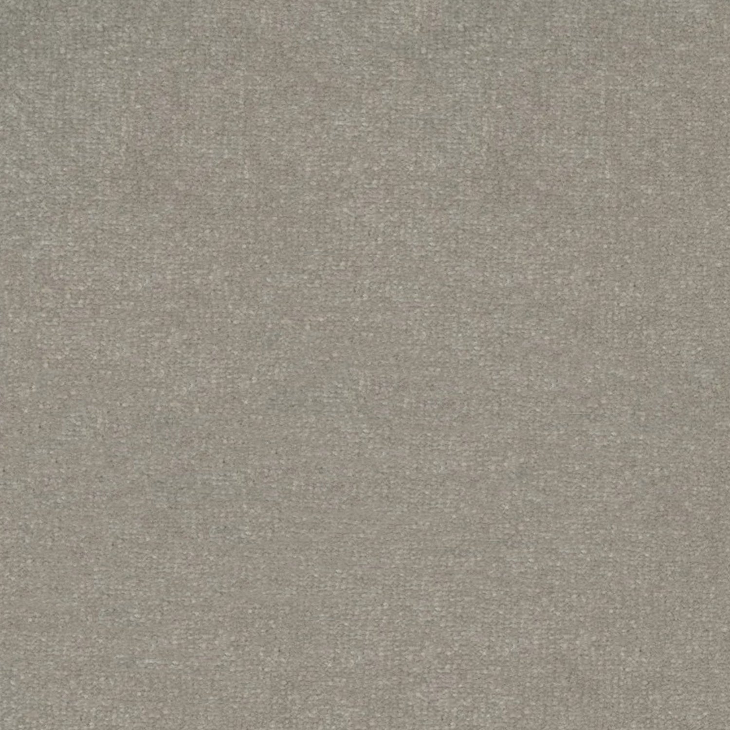 Artisan Carpets Venice 100% Polypropylene Velvet Carpet