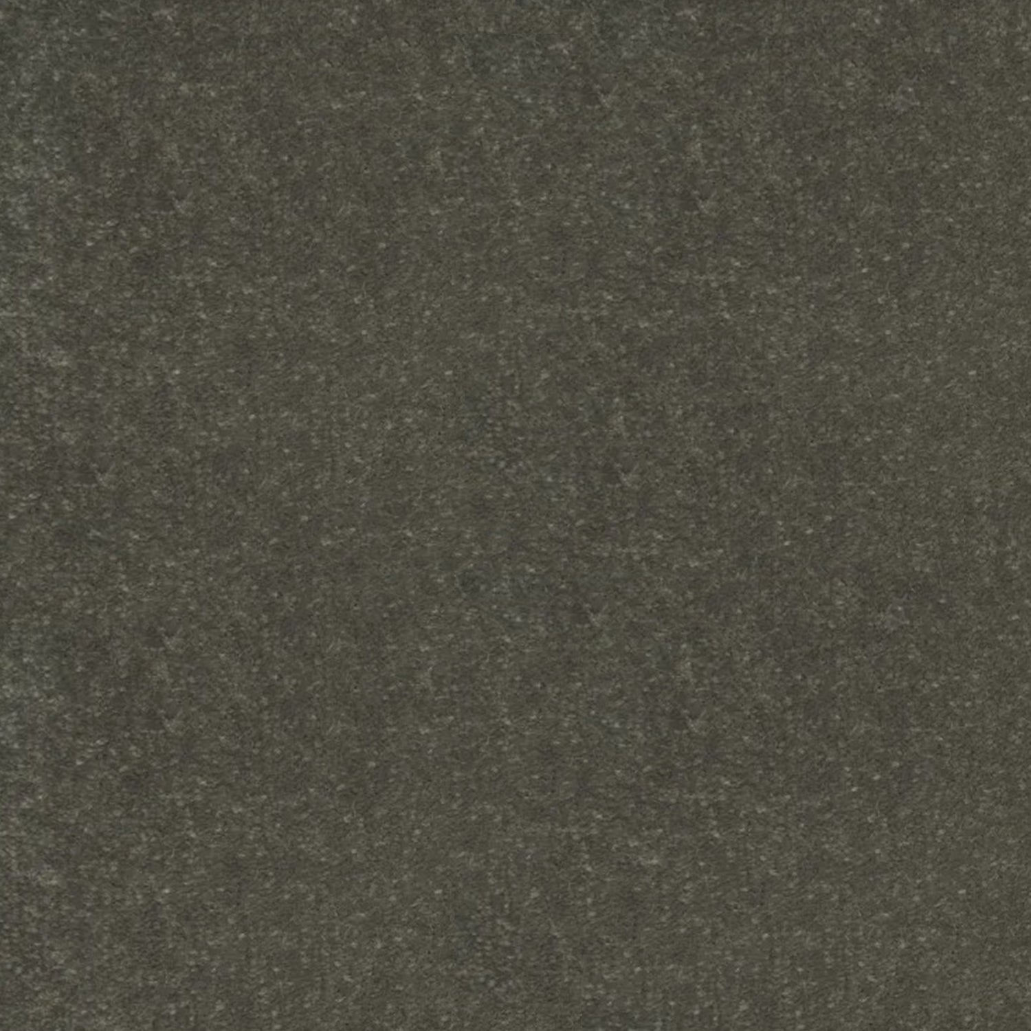 Artisan Carpets Venice 100% Polypropylene Velvet Carpet