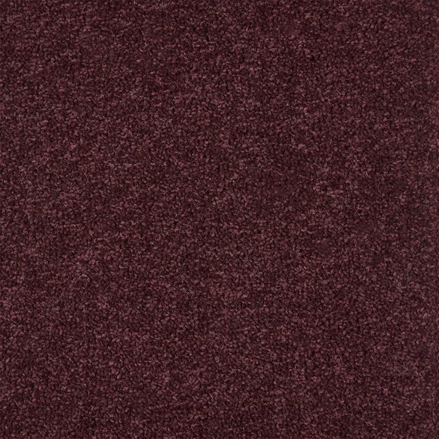 Kingsmead Artwork 80% Wool Blend Twist Carpet