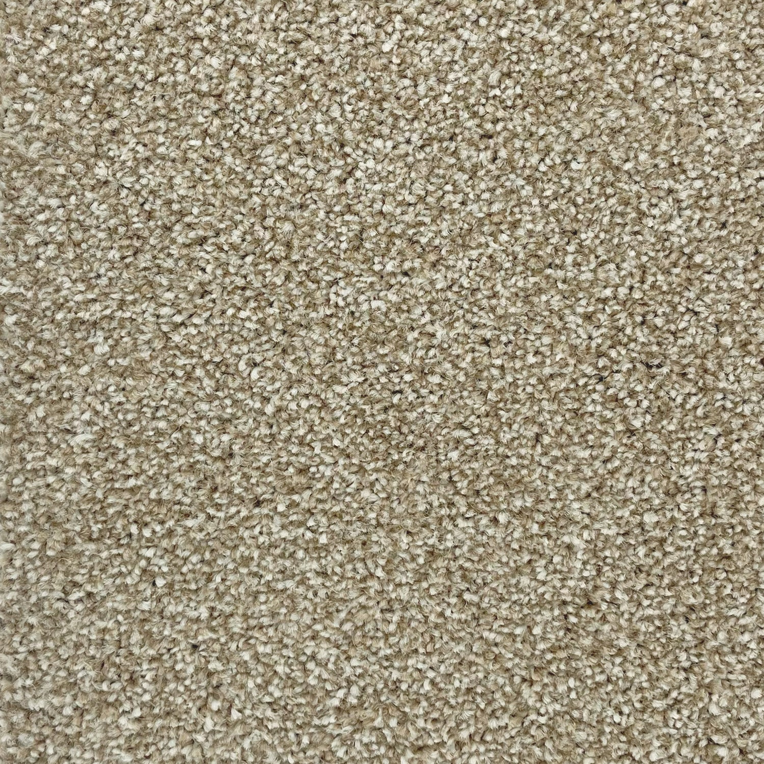Associated Weavers Coniston Twist Carpet