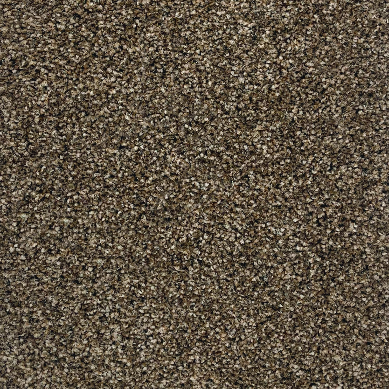 Associated Weavers Coniston Twist Carpet