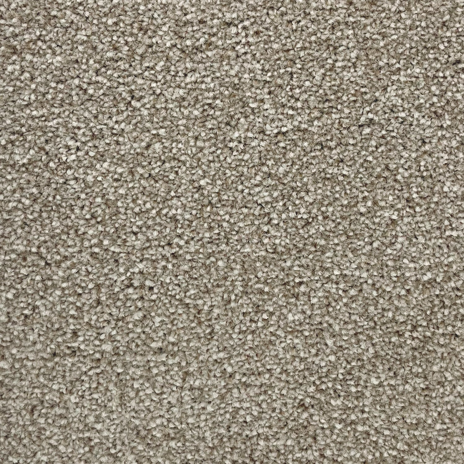 Associated Weavers Coniston Twist Carpet