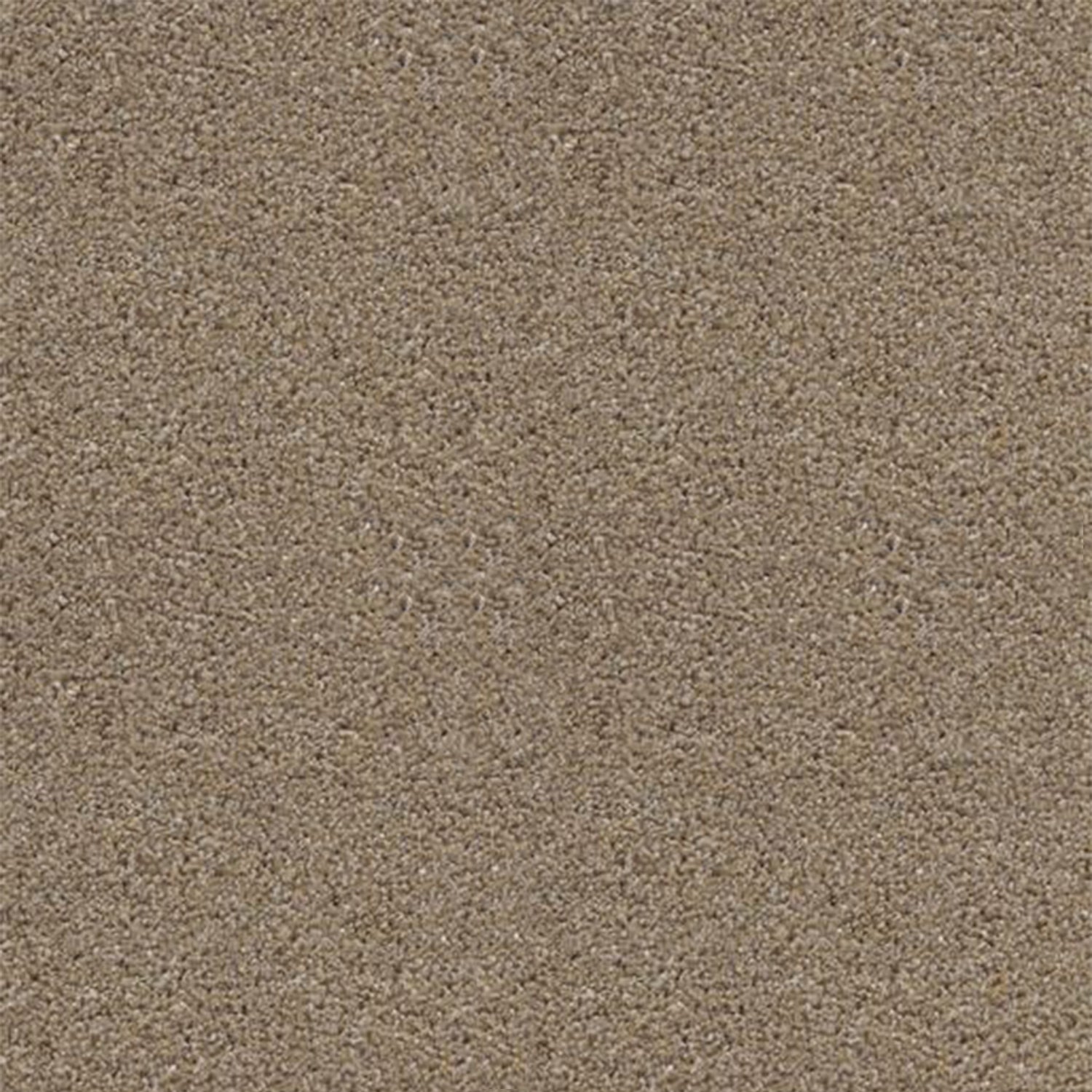 Associated Weavers Stainaway Harvest Heathers Twist Carpet