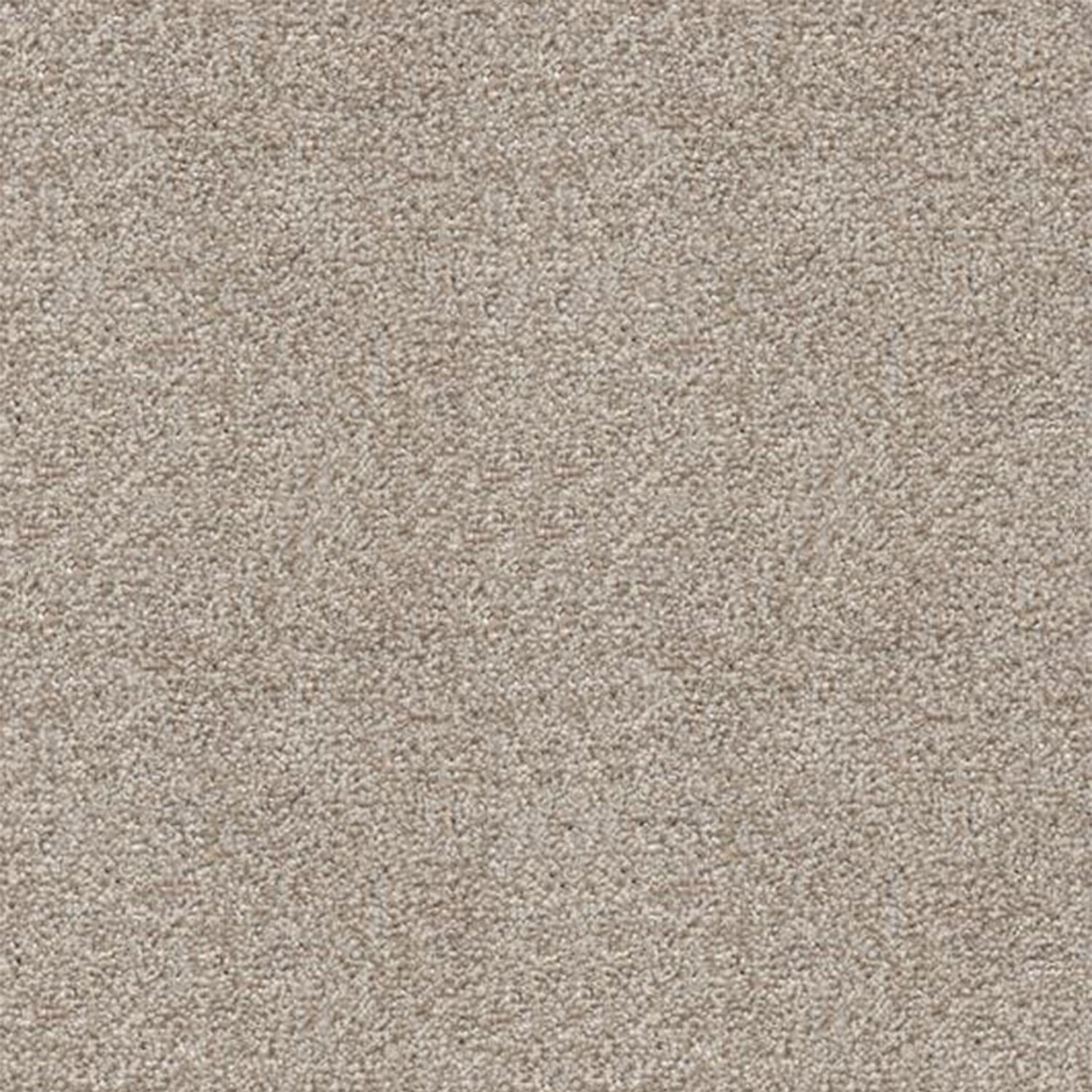 Associated Weavers Stainaway Harvest Heathers Twist Carpet