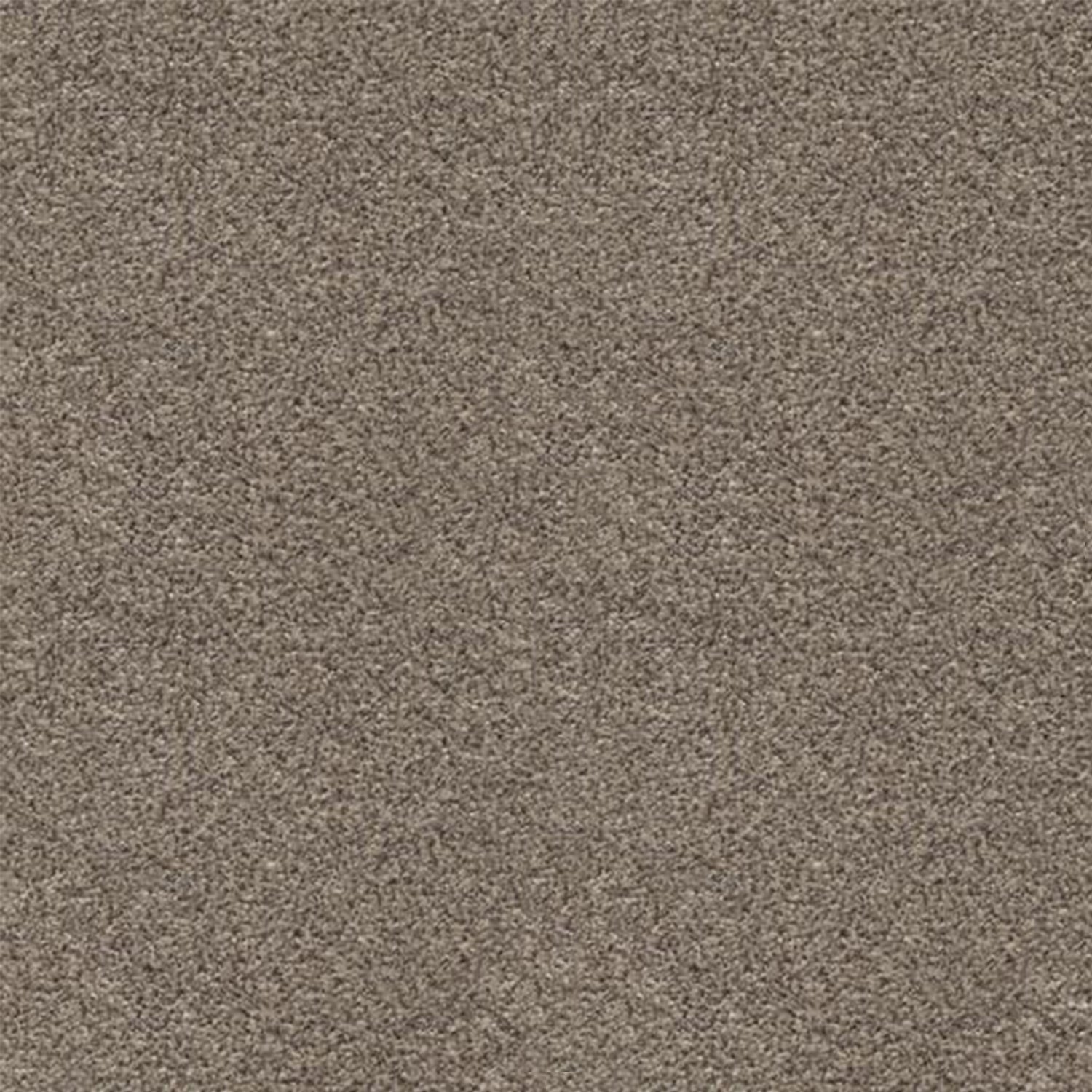 Associated Weavers Stainaway Harvest Heathers Twist Carpet