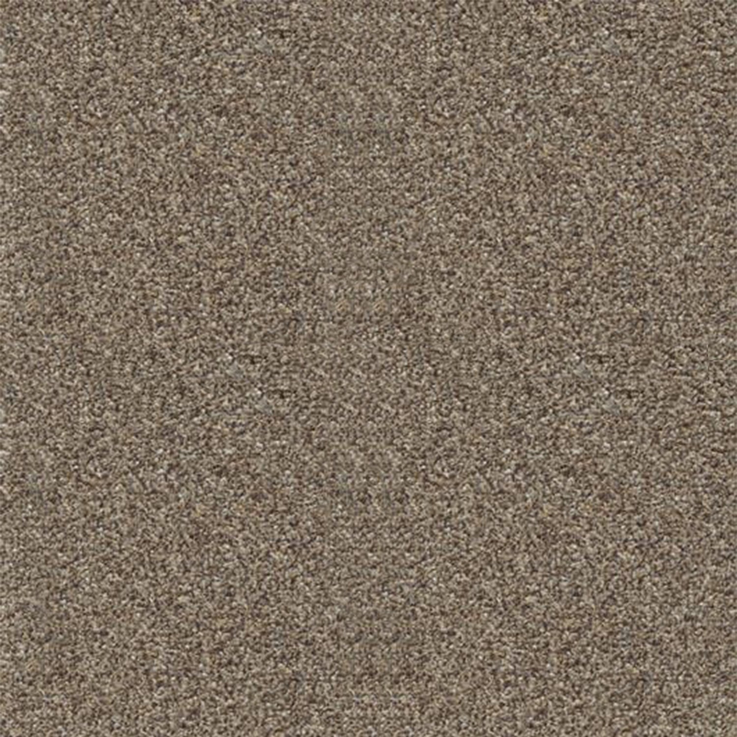 Associated Weavers Stainaway Harvest Heathers Twist Carpet