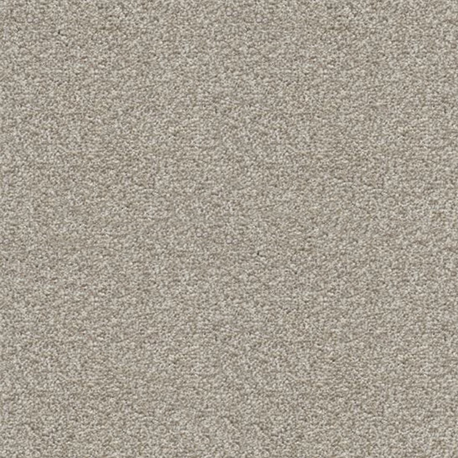 Associated Weavers Stainaway Harvest Heathers Twist Carpet