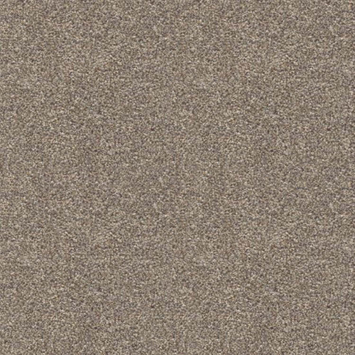 Associated Weavers Stainaway Harvest Heathers Twist Carpet