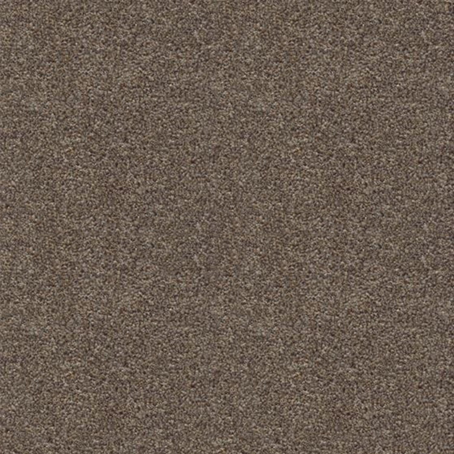 Associated Weavers Stainaway Harvest Heathers Twist Carpet
