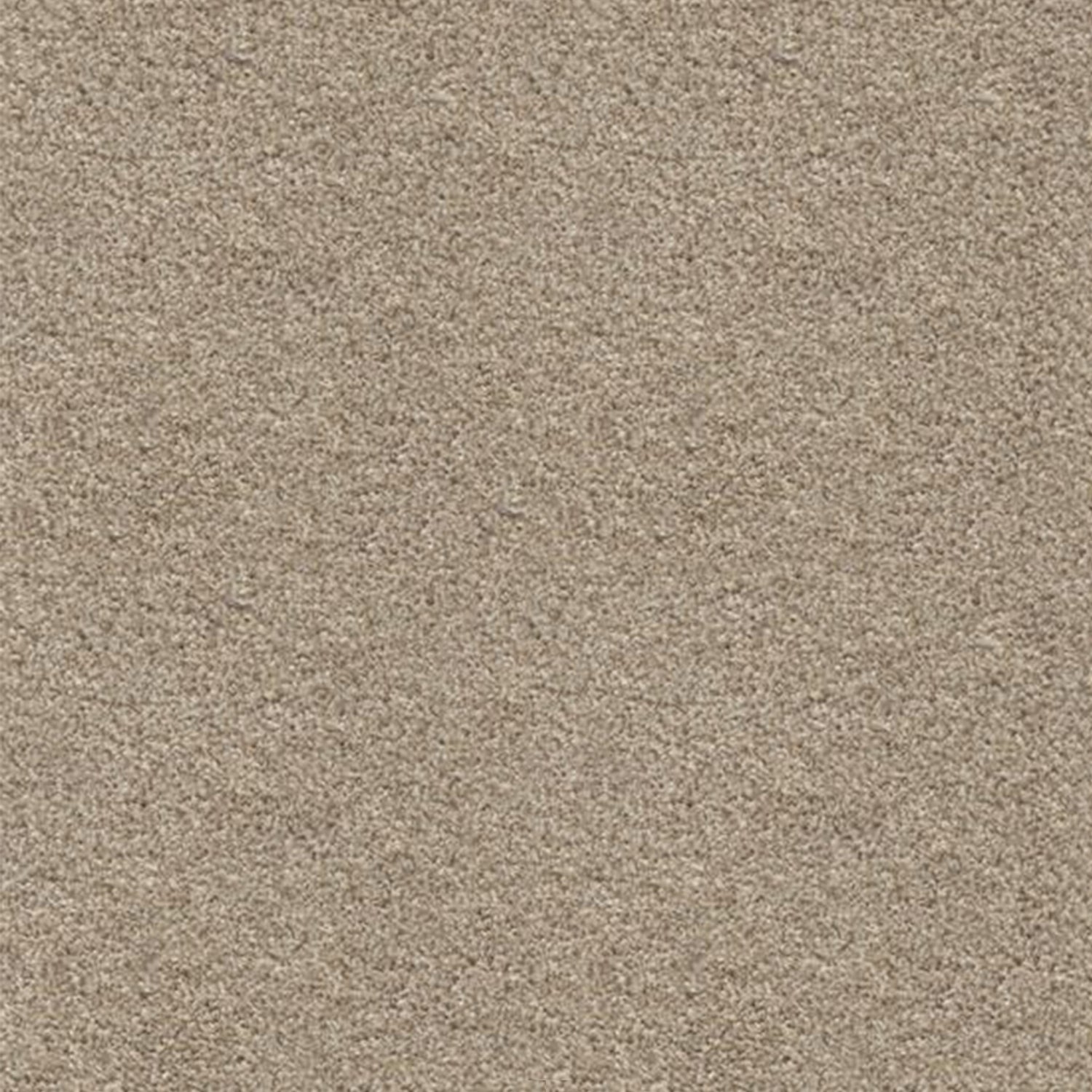 Associated Weavers Stainaway Harvest Heathers Twist Carpet