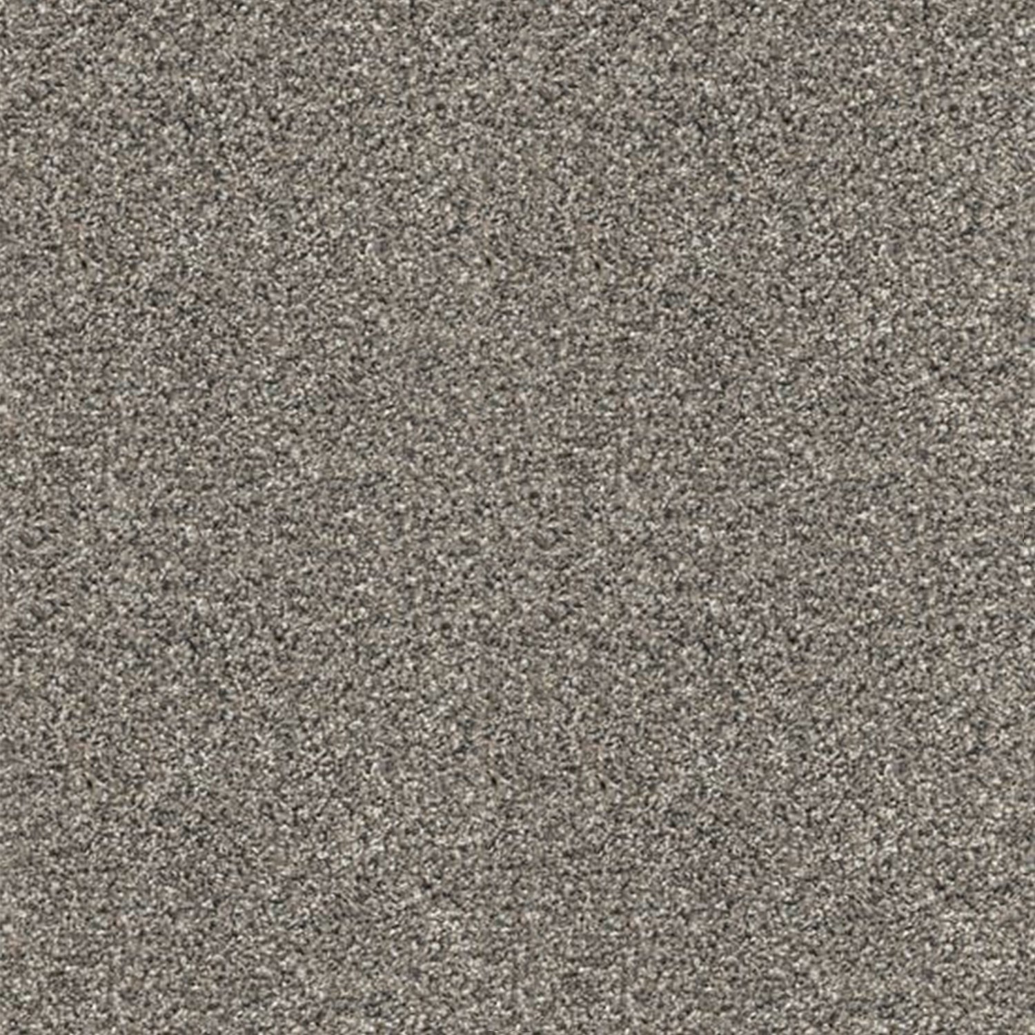 Associated Weavers Stainaway Harvest Heathers Twist Carpet