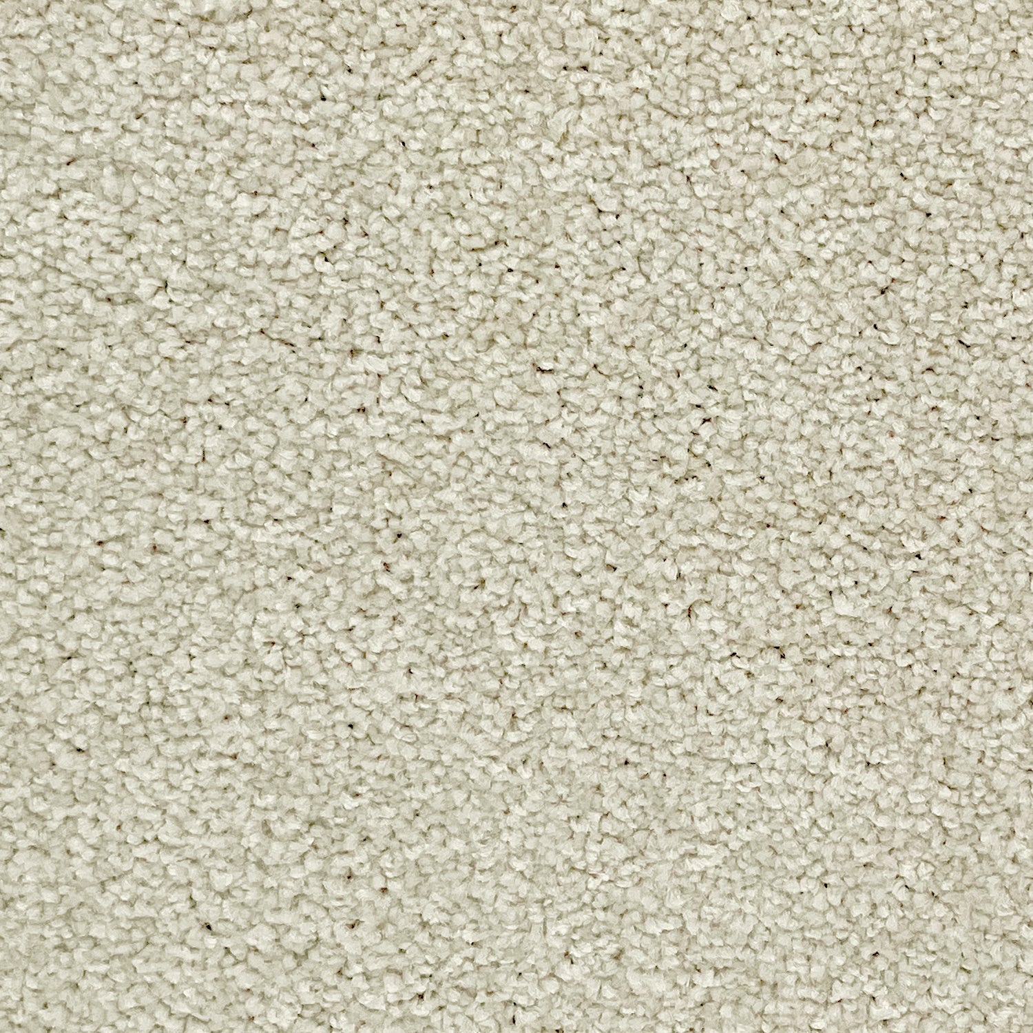 Associated Weavers Hudson Twist Carpet