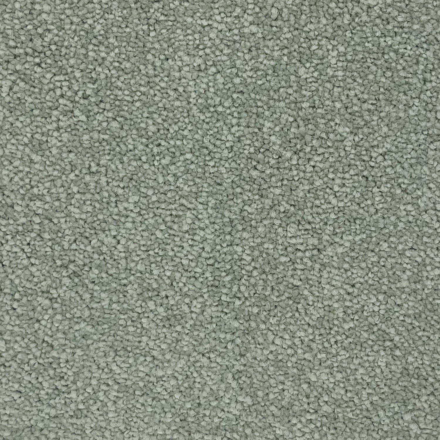 Associated Weavers Hudson Twist Carpet