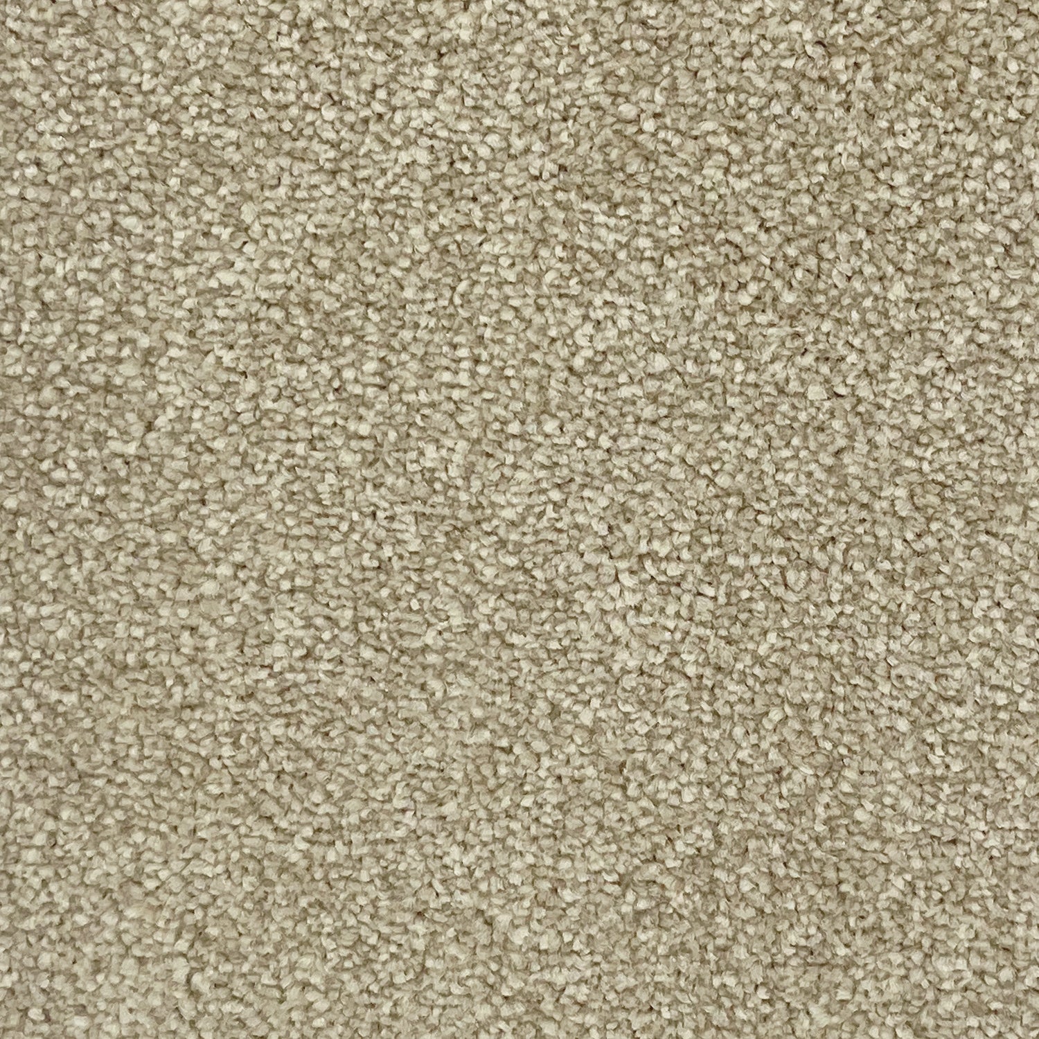 Associated Weavers Hudson Twist Carpet