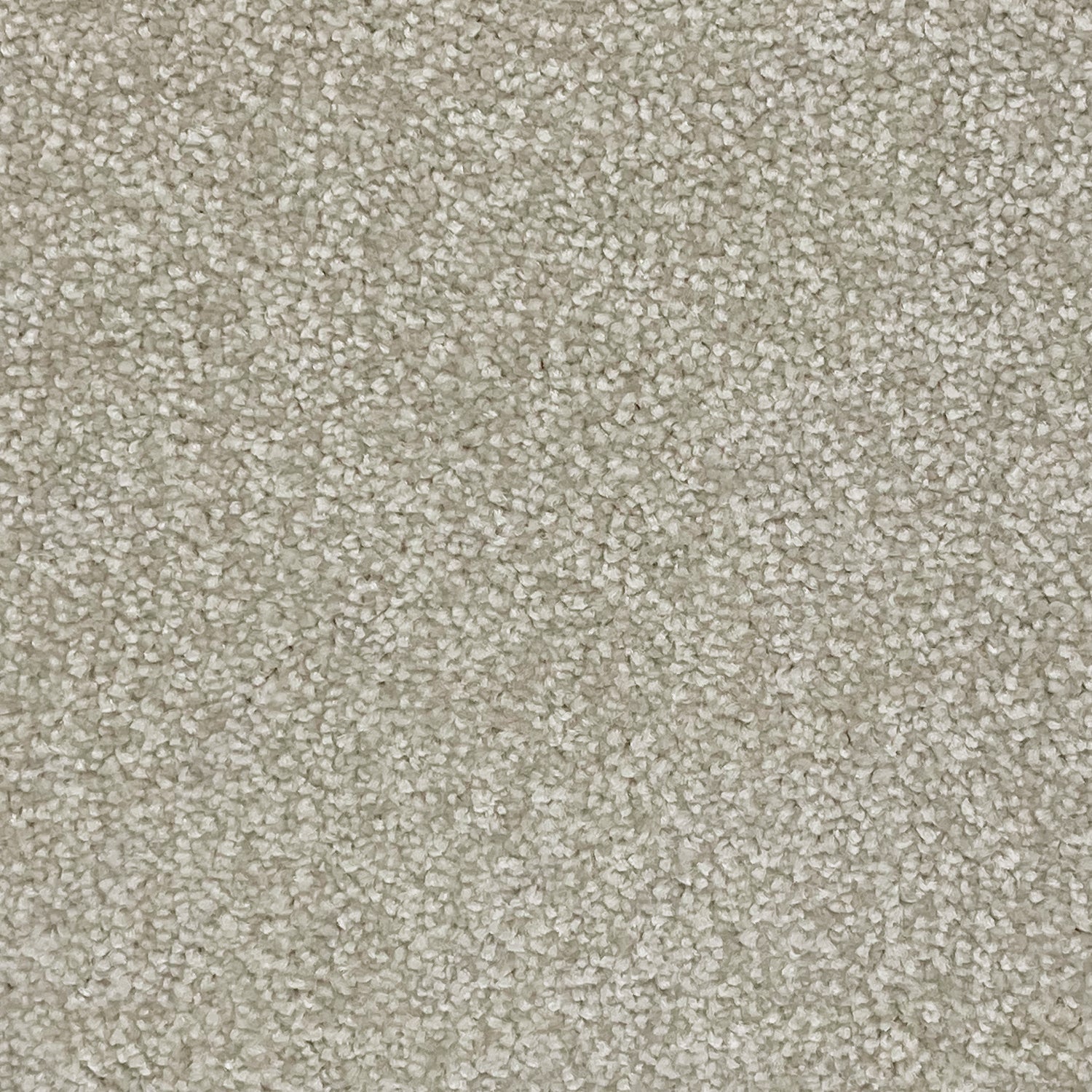 Associated Weavers Hudson Twist Carpet