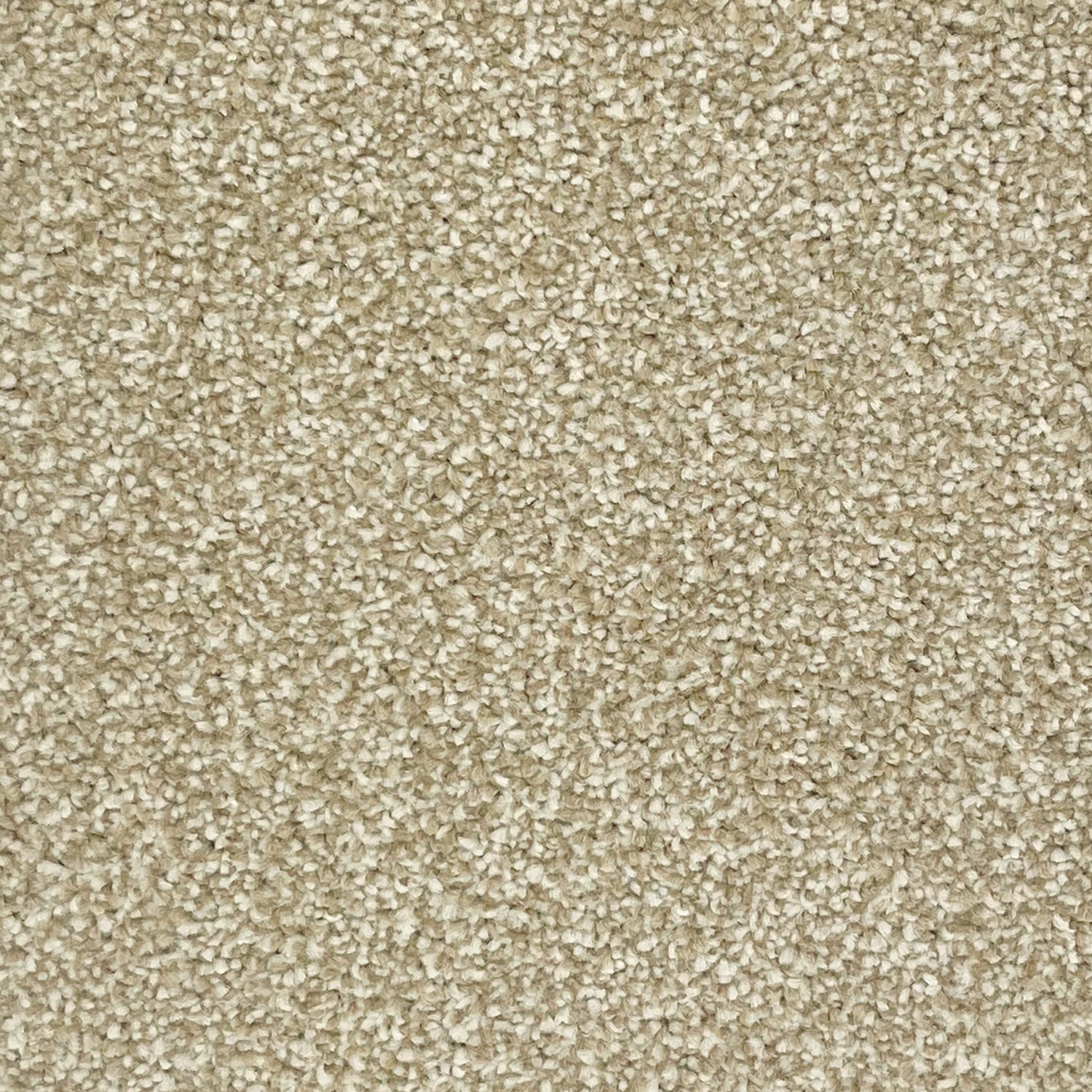 Associated Weavers Hudson Twist Carpet