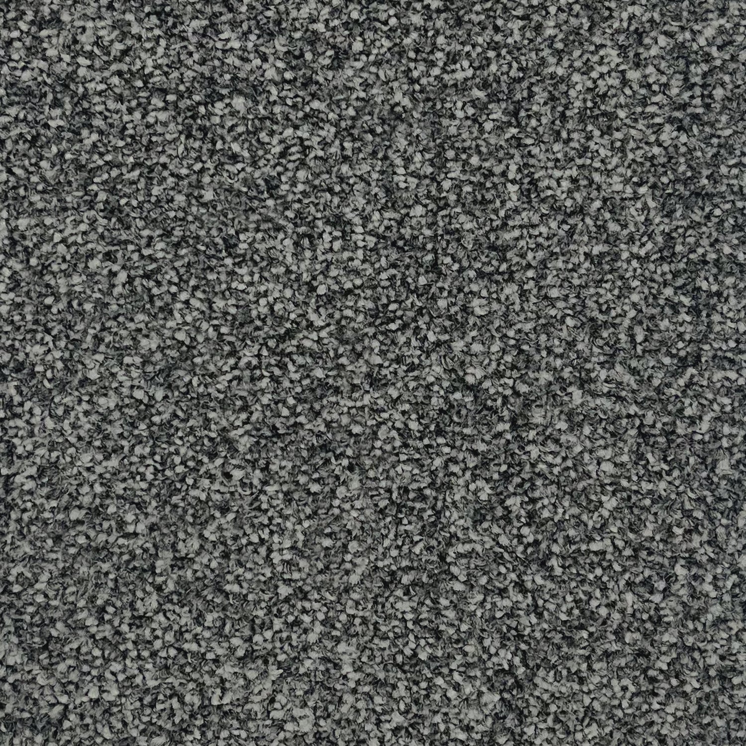 Associated Weavers Hudson Twist Carpet