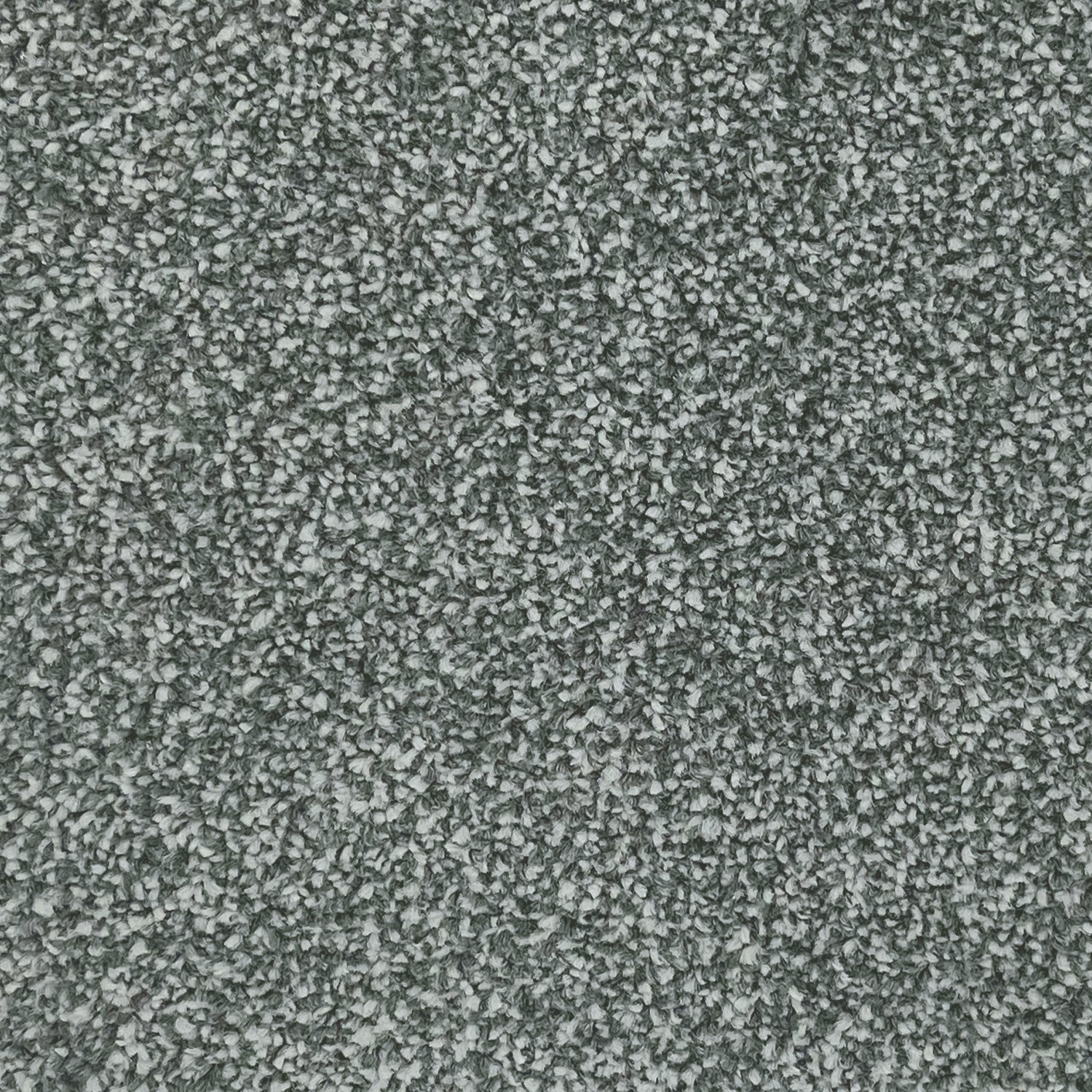Associated Weavers Hudson Twist Carpet