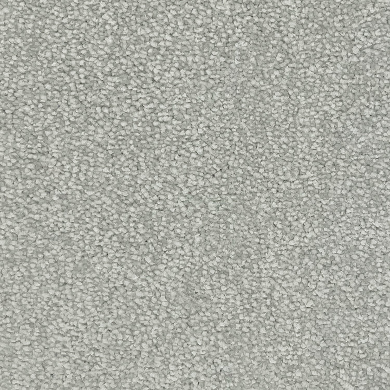 Associated Weavers Hudson Twist Carpet