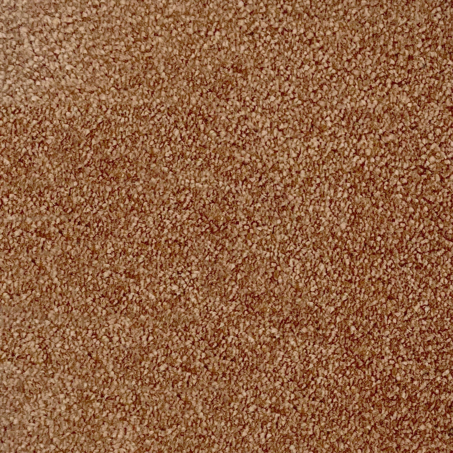 Associated Weavers iSense Obsession Nylon Saxony Carpet