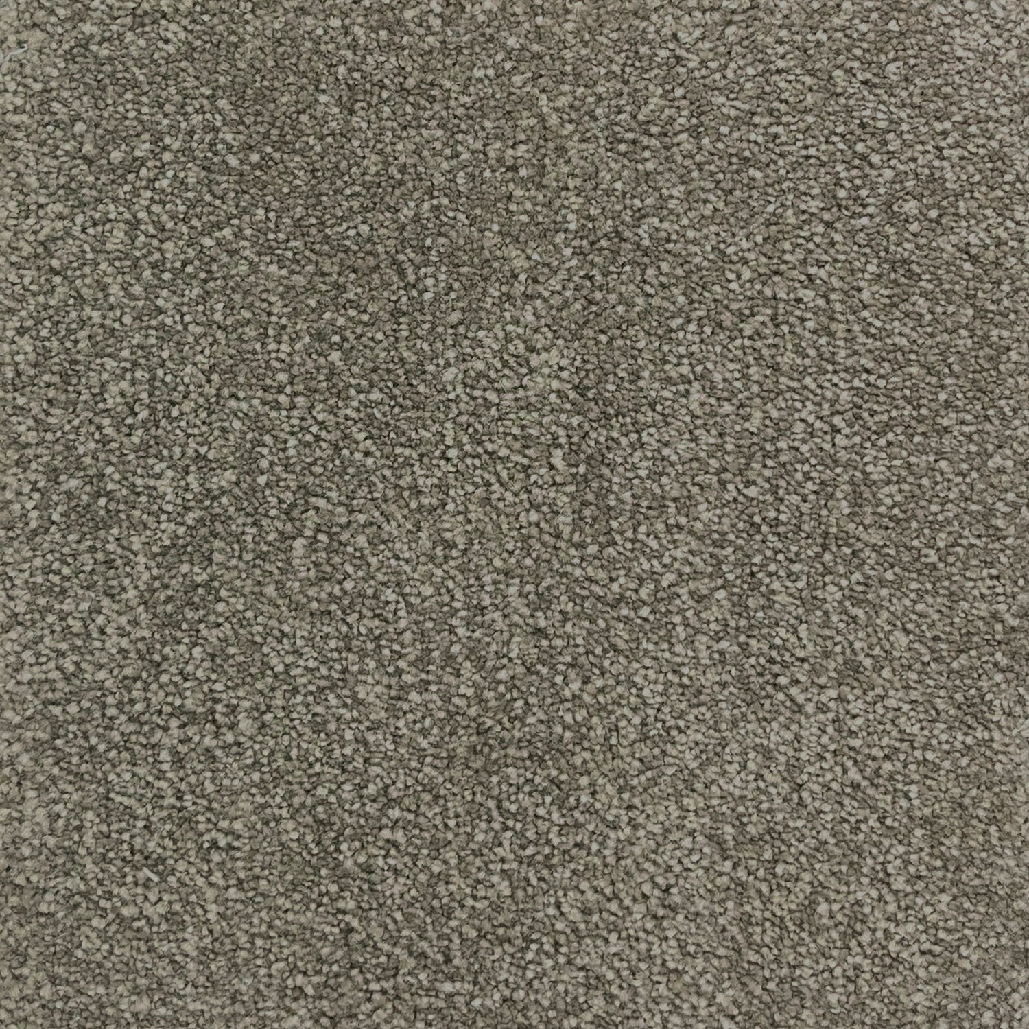 Associated Weavers iSense Subtlety Nylon Saxony Carpet