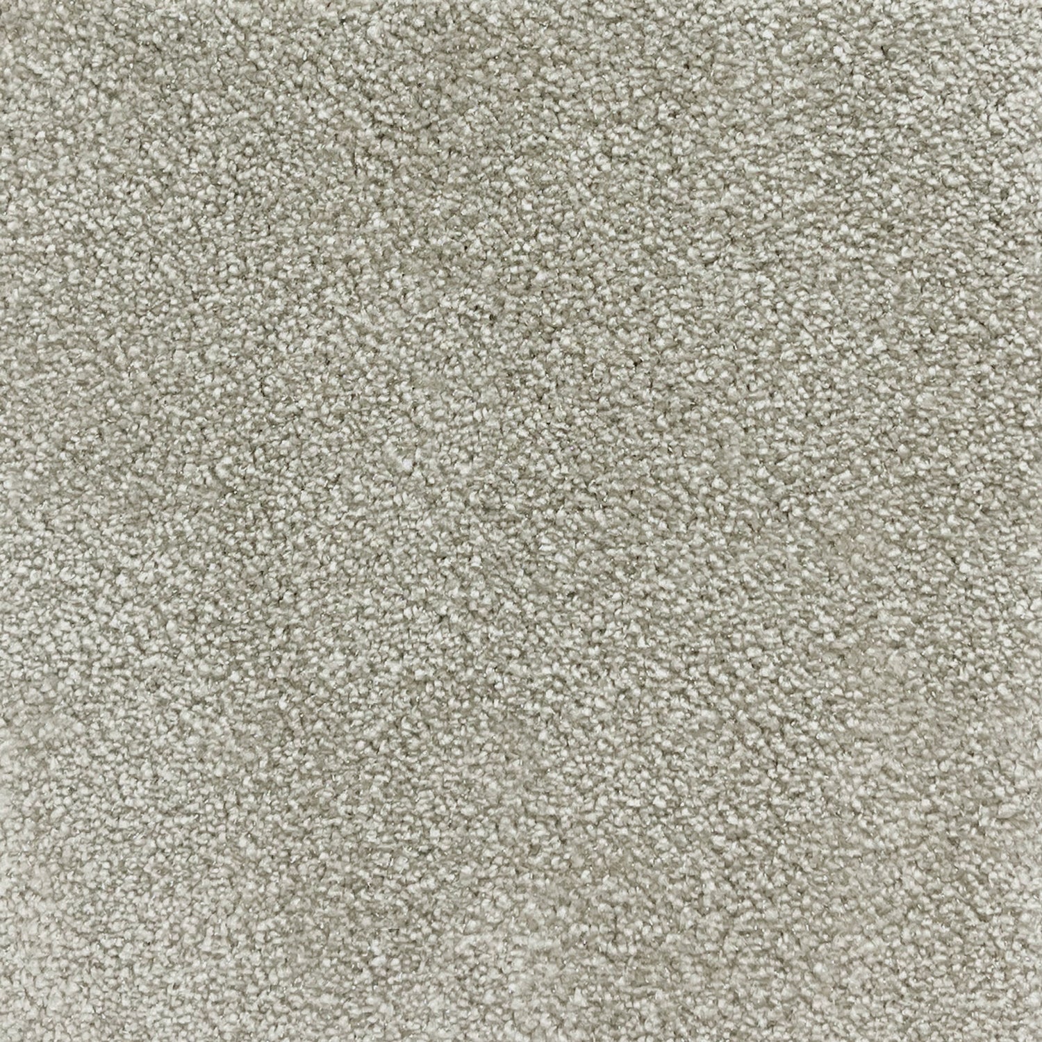 Associated Weavers iSense Surprise Nylon Saxony Carpet