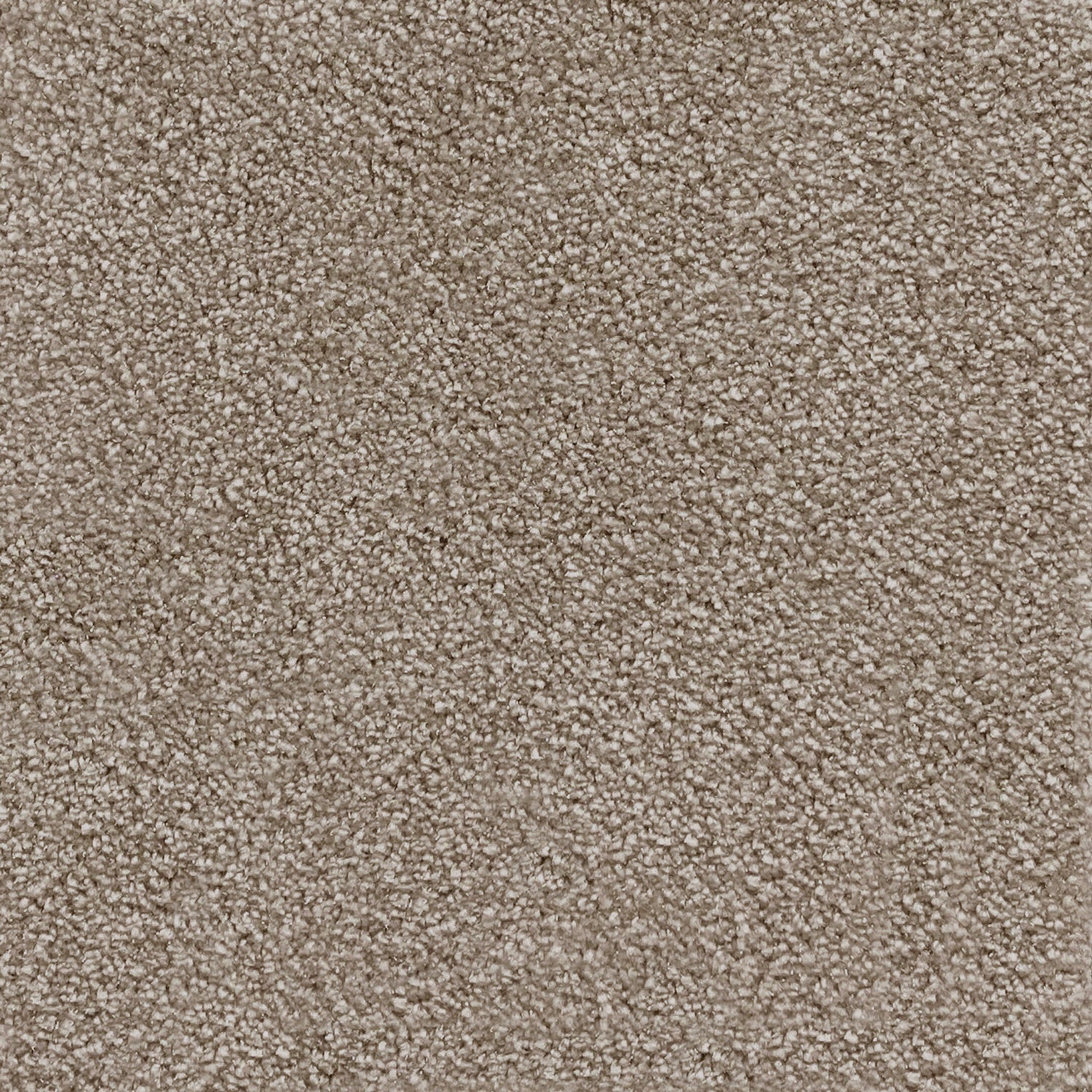 Associated Weavers iSense Surprise Nylon Saxony Carpet