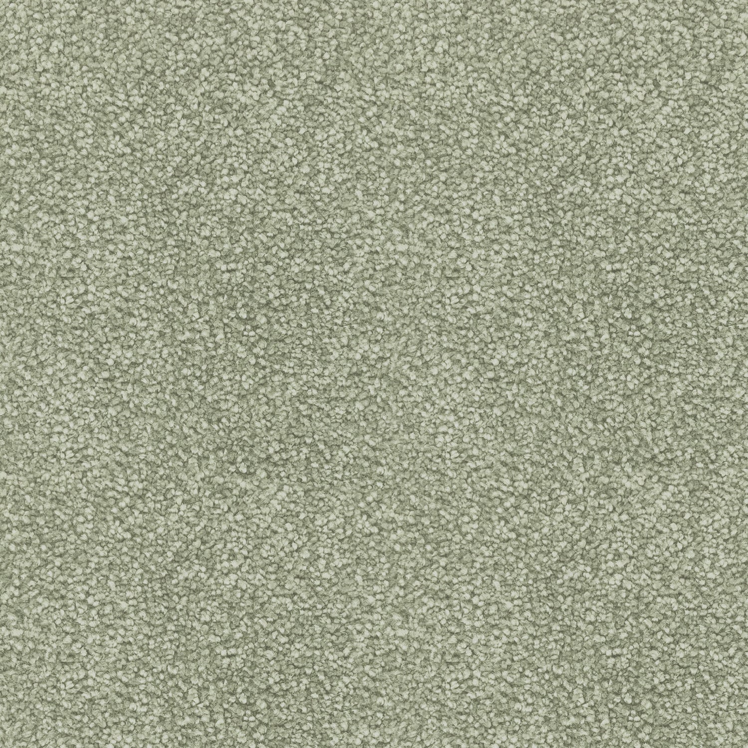 Associated Weavers iSense Suspense Nylon Saxony Carpet