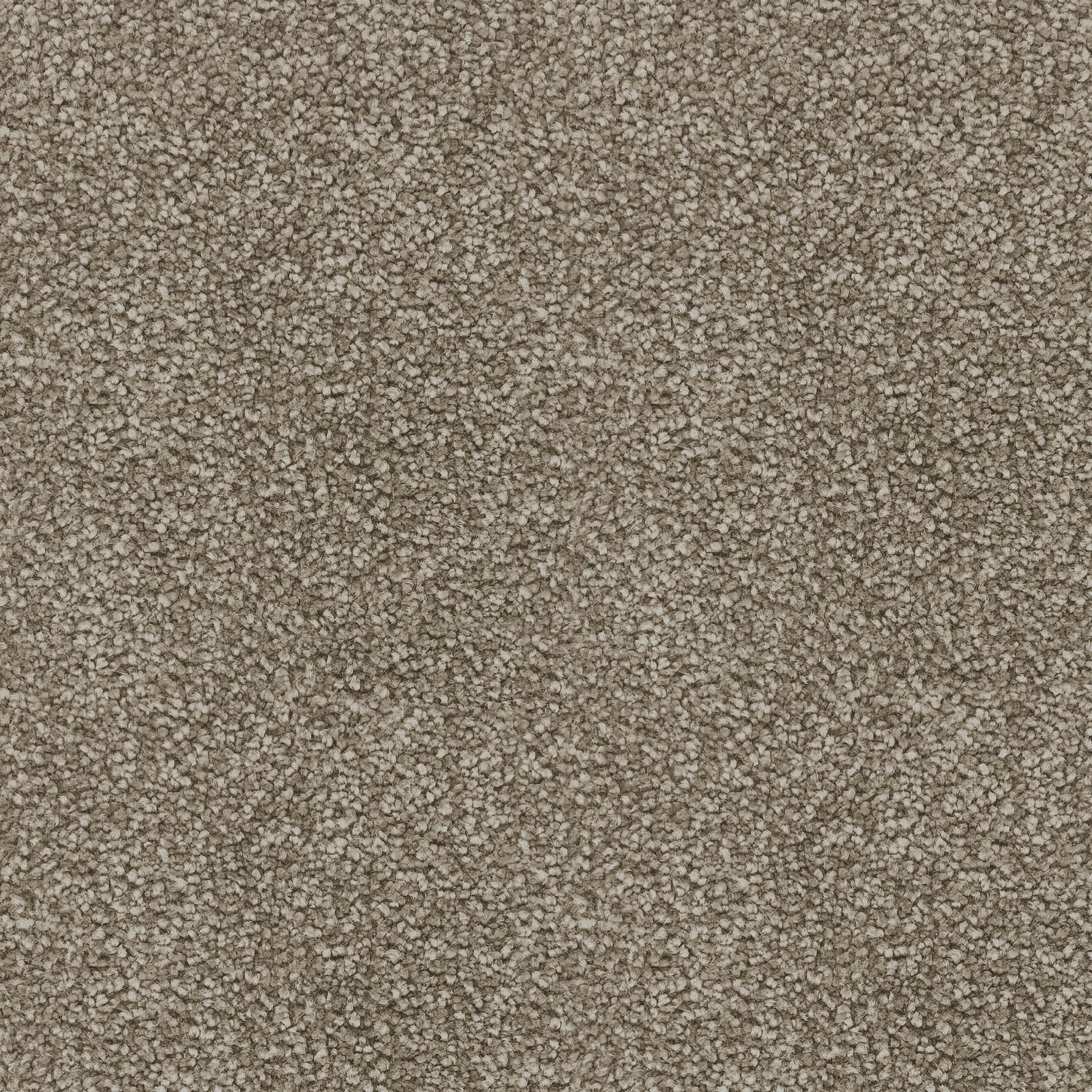 Associated Weavers iSense Suspense Nylon Saxony Carpet
