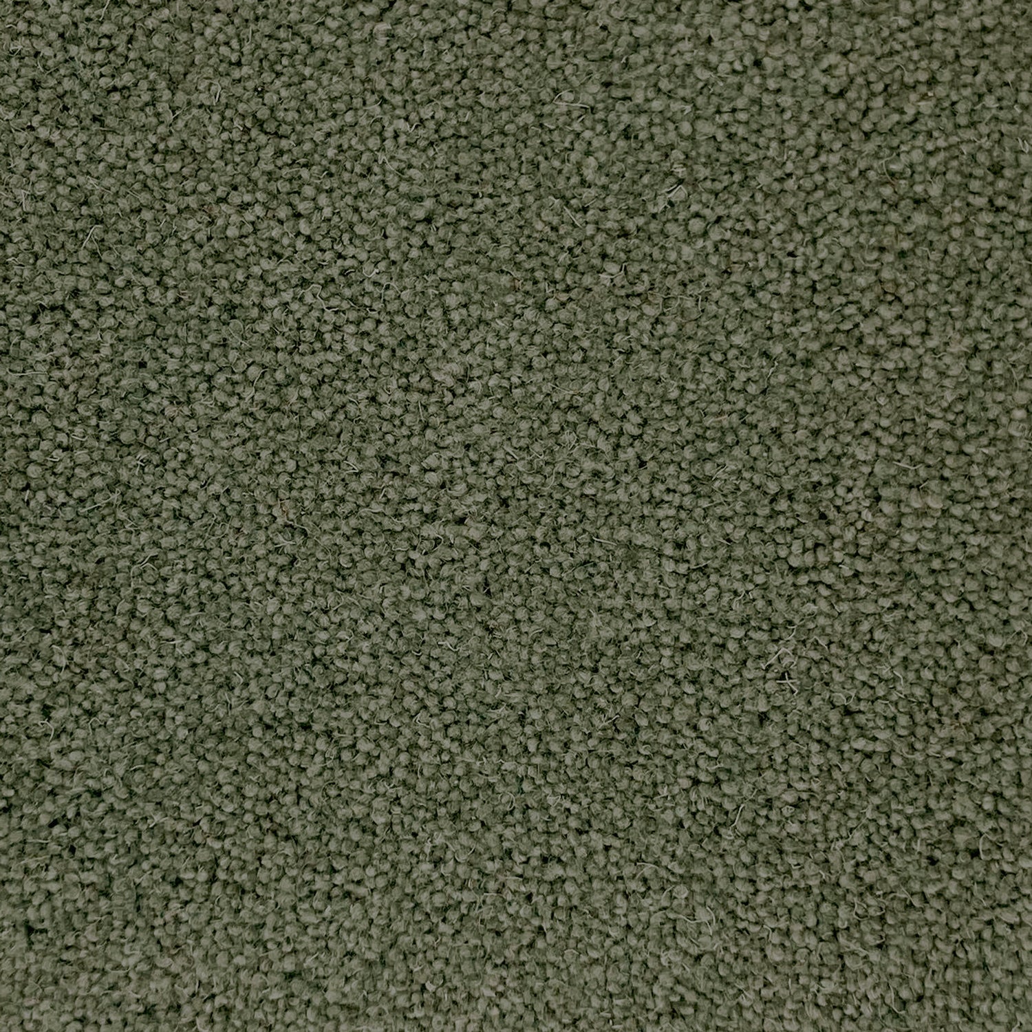 Associated Weavers Sedna Kai Nylon Twist Carpet